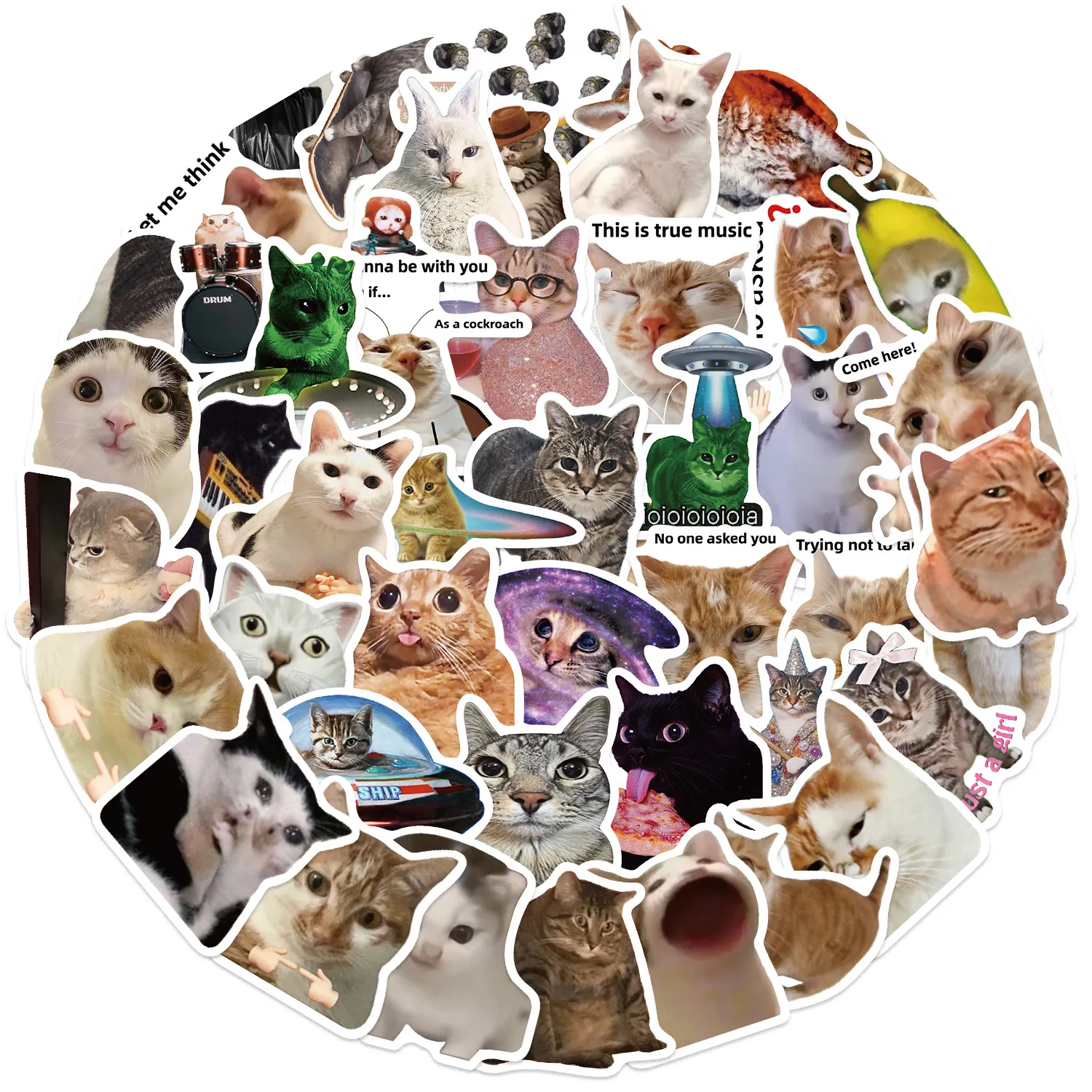 Gato Meme Wallpaper: The Ultimate Guide to Funny Cat Stickers for Your  Devices and Belongings, image size:1500x1500