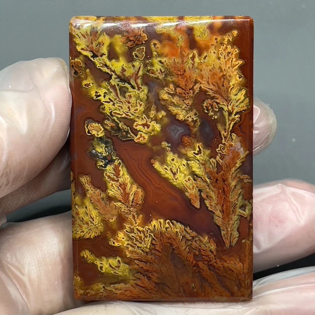

Natural Red Agate Gorgeous Pure Natural Agate for Attract Wealth Good Luck High-quality Jewelry Antique Collection