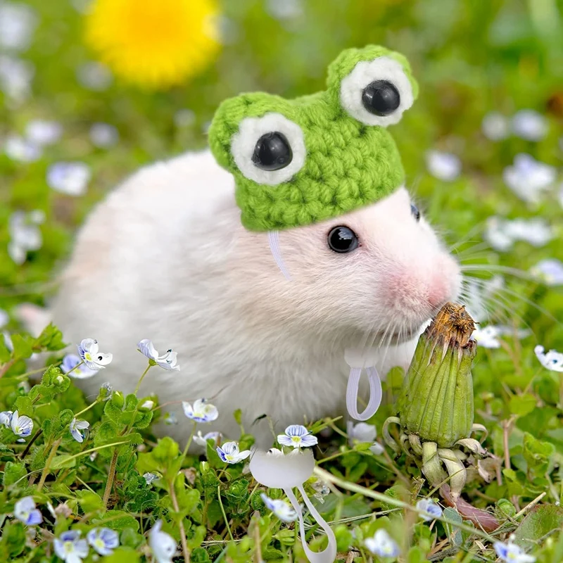 4 Pieces Hamster Hat Mini Small Animals Hat With Adjustable Strap Lovely Hand Knitted Frog Rainbow Carrot Tiny Hats