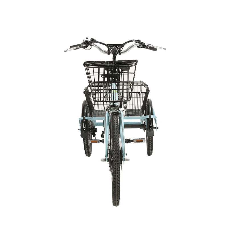 

economical and practical customized cargo electric three wheels bike 36V 48V 250W 500W tricycle ebike with basket