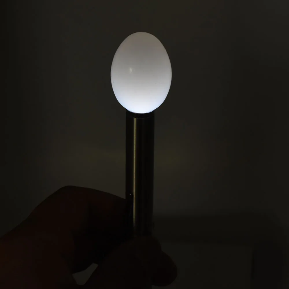 1Pcs Incubator Egg Tester Egg Candling Lamp LED Super Cold Equipment Incubation Tool egg candler