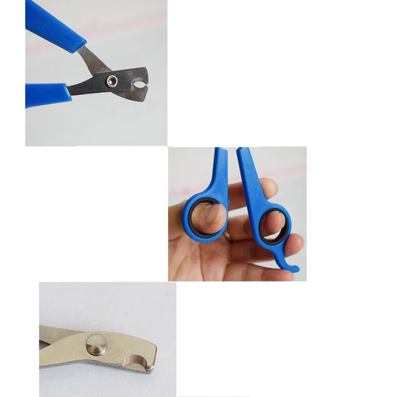 Professional Cat Nail Scissors Pet Dog Nail Clippers Toe Claw Trimmer Multicolor Pet Cutter Grooming Supplies for Small Dogs Cat