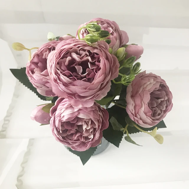 Image 17