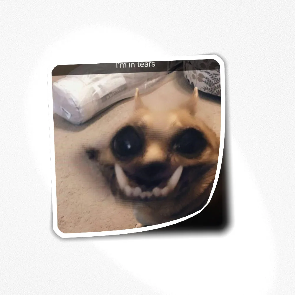 

DOG MEME STICKER 066 Sticker for Laptop Decor Bedroom Car Cute Cartoon Art Fashionable Public Suitcase