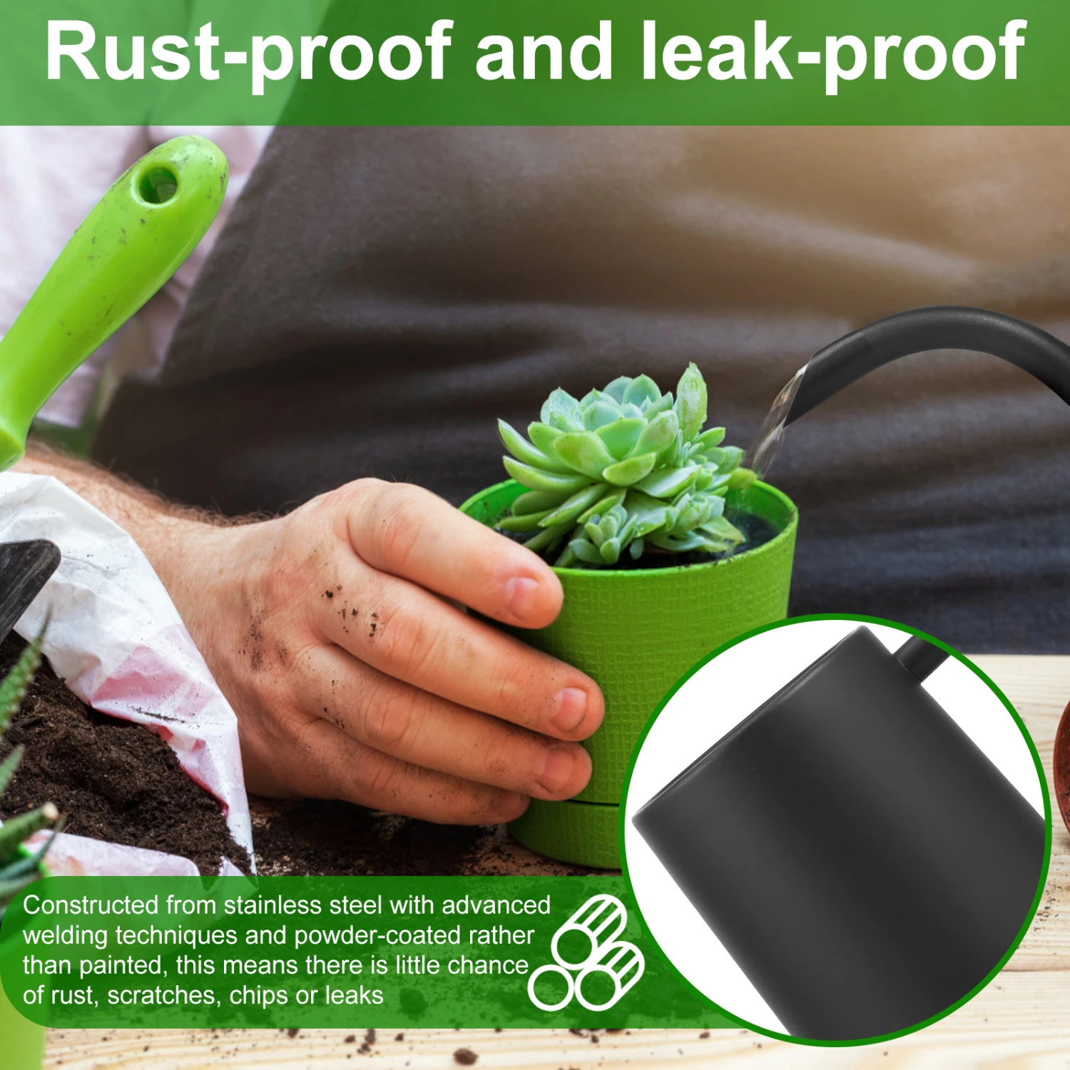 Elegant and stylish stainless steel 1L watering can with long spout and ergonomic wooden handle, perfect for precise watering of