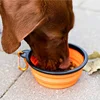 1/2PCS Portable Silicone Dog Bowl Cat Bowl with Climbing Buckle Outdoor Foldable Pet Bowl for Dogs And Cats 3