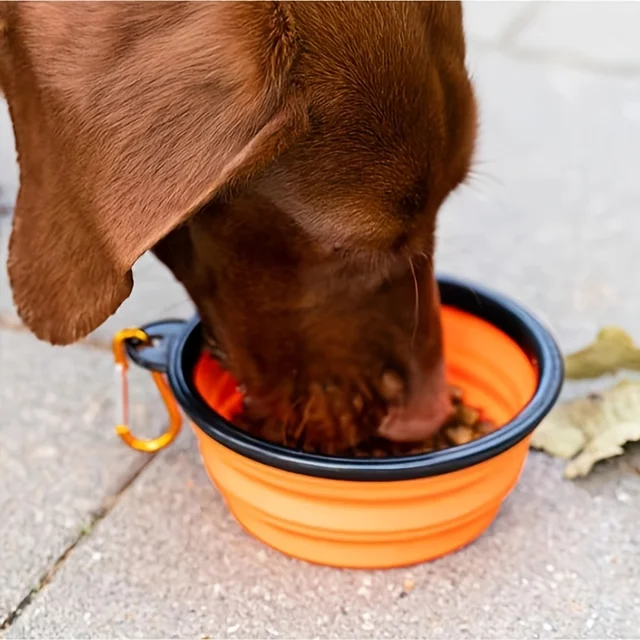 1/2PCS Portable Silicone Dog Bowl Cat Bowl with Climbing Buckle Outdoor Foldable Pet Bowl for Dogs And Cats 3