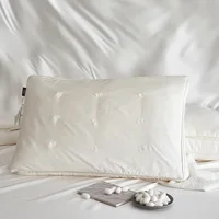Mulberry Silk Pillows For Sleeping Natural Silk Filling Pearl Protein Fabric Anti Mite Health Care Bedding Hotel Neck Pillows 1