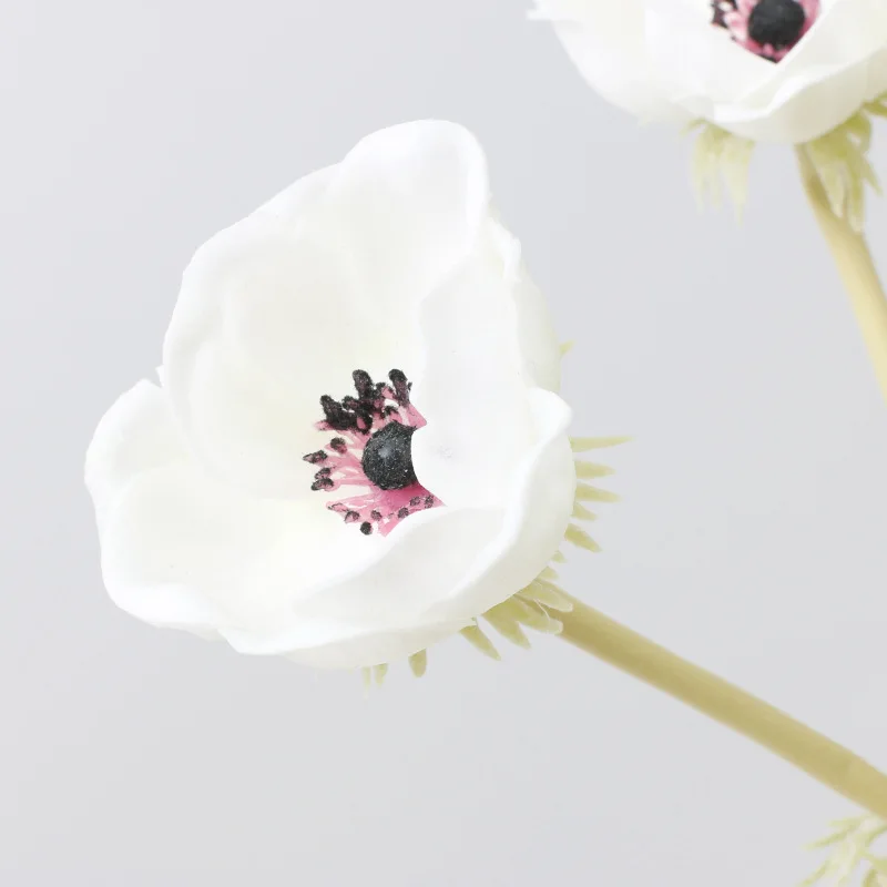 한정되지 않은