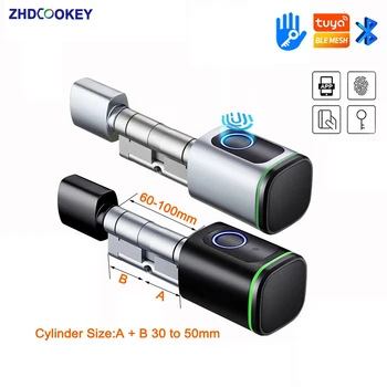 Tuya BLE DIY 실린더 코어 생체 지문 카드 TTLock, 앱 전자 도어 잠금, 게이트웨이가 있는 유로 실린더 스마트 잠금