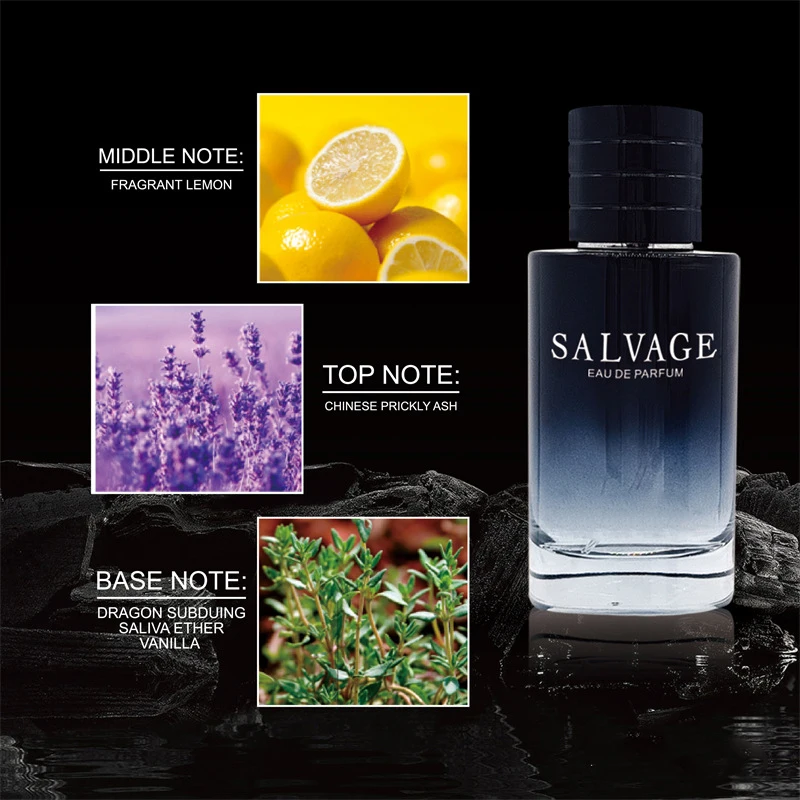 Original Herrenparfümspray mit Flirt-Pheromon, langanhaltend, unwiderstehlich, wilder Duft, Deodorant, verführerisch und attraktiv für den Gentleman._voghion.com