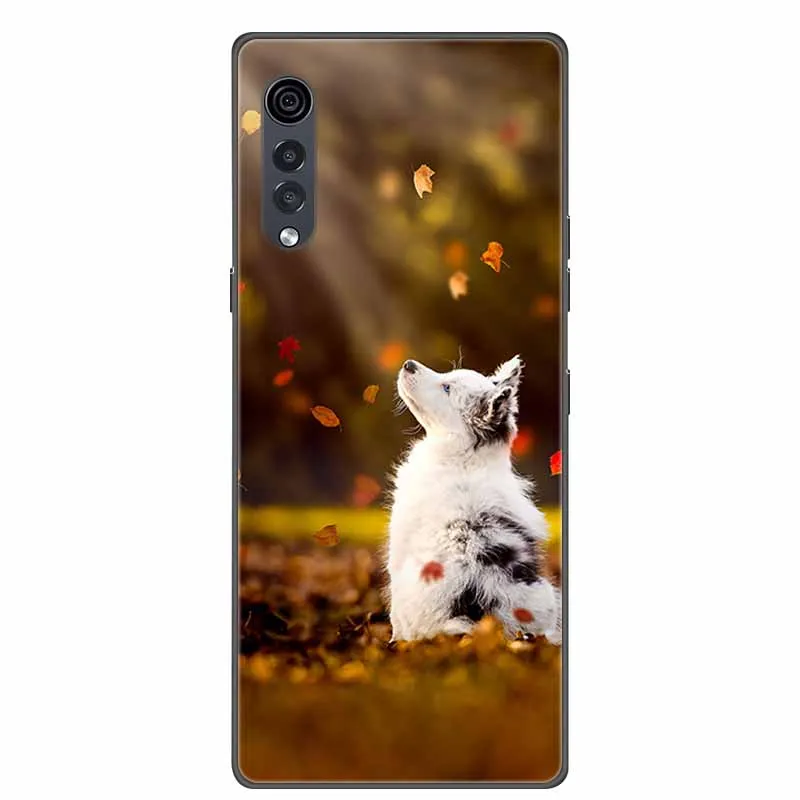 Fashion Soft TPU Silicone Phone Cover with Bumper Protection