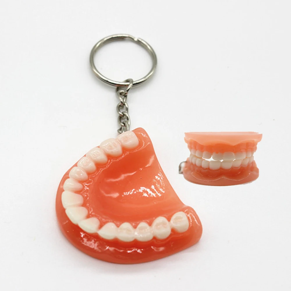 ToothKeyChainMoldResinJawModelDentureKeyringKeychainForBags