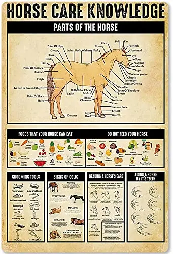 

Horse Care Knowledge Retro Metal Tin Signage Parts Of A Horse Printed Poster Club Horse Farm Farm Farmhouse Living Room Kitchen