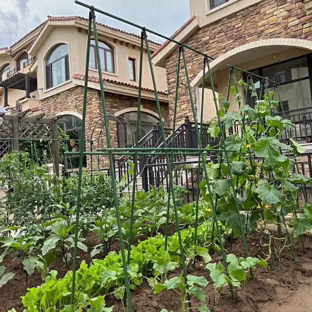 2 Paquet Treillis Plante Grimpante Extérieur, Deaunbr Support De Plante De Jardin, Grande Tour