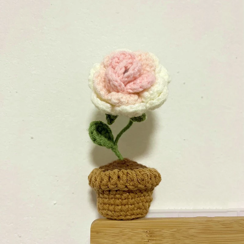 Handmade Woven Mini Potted