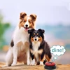Pet Communication Button Dog Sound Box Training Talking Toys Long Lasting Battery Life Recording Speaker Squeeze Give Voice 3