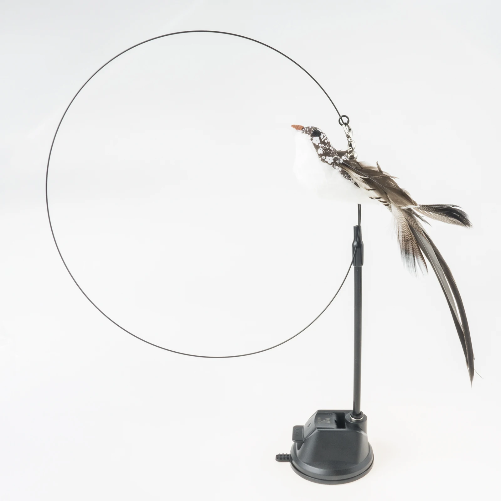Long tailed Bird Set