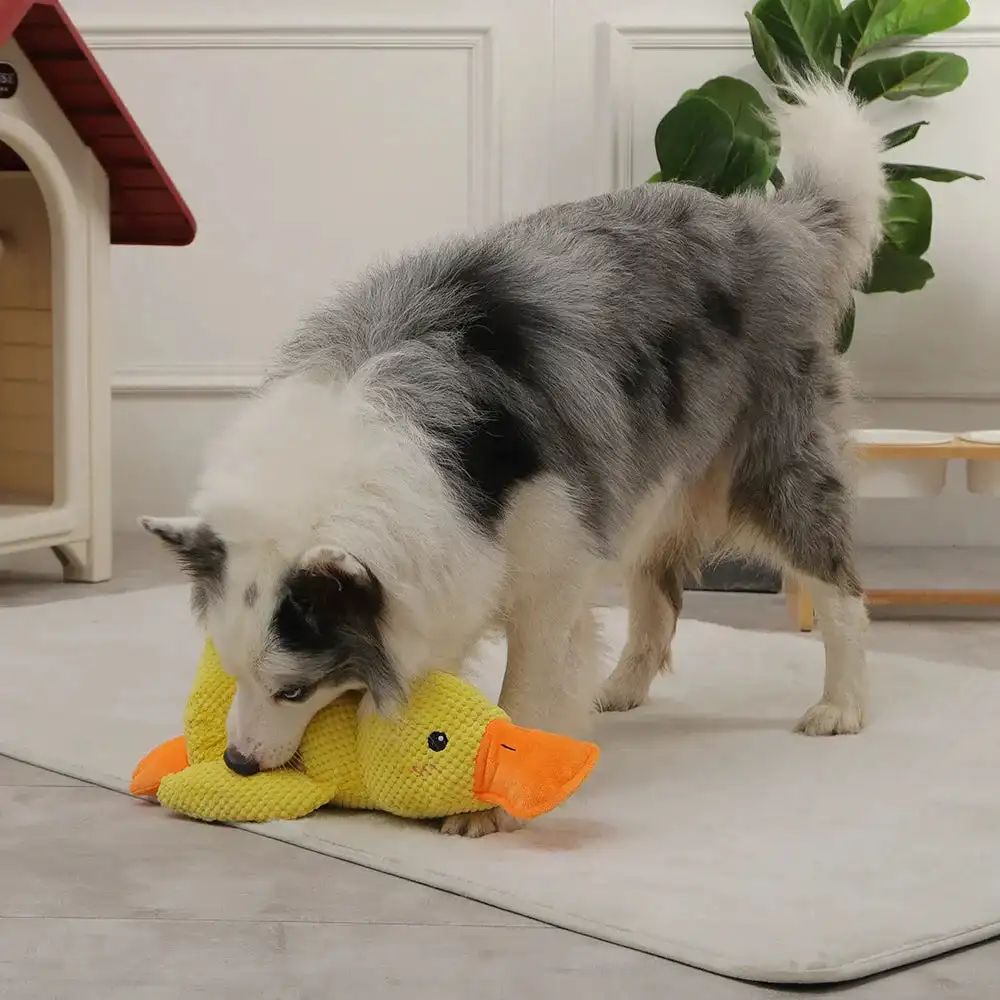 Calming Duck Dog Toys Quack Dog Duck Toy Durable Dog Squeak Toys Soft Plush Dog Chew Toy Indoor Alone Relief Bored Pet Supplies 3