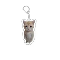 Funny Cat Memes Series Keychain Student Gift Bag Lanyard  Women's Bag Pendant Keychain Cute Things Cheap Gift For Best Friends 2
