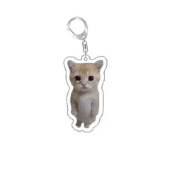 Whimsical Cat Meme Keychain - Cute & Affordable Gift for Friends and Students (Style 5)