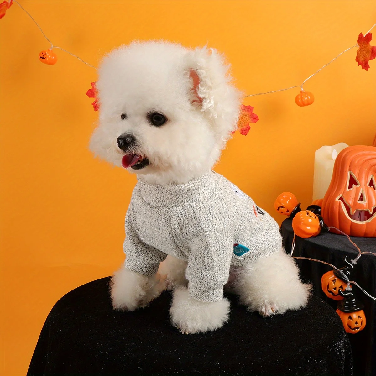 Halloween Pumpkin Ghost Pet Pullover 4