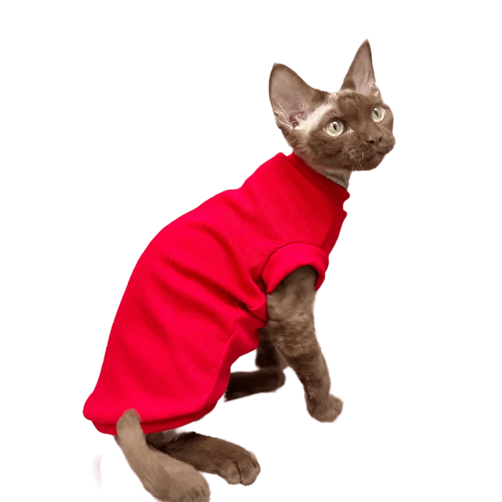 

Костюм красного сфинкса, костюм для кошек, одежда для весны и осени, теплая одежда для кошек, одежда для кошек без волос