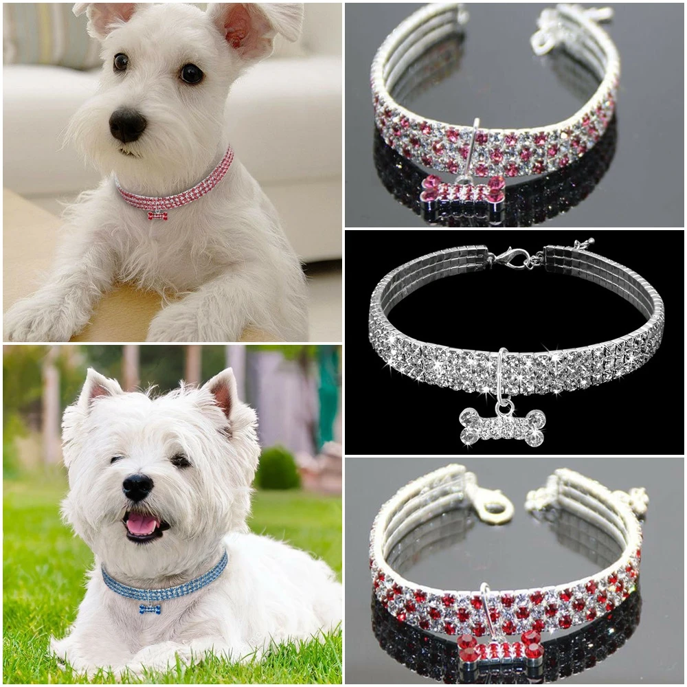 Collar de moda para perro, Correa de cristal para cachorro, Chihuahua, gato, accesorios para perros pequeños y medianos|Collares| AliExpress