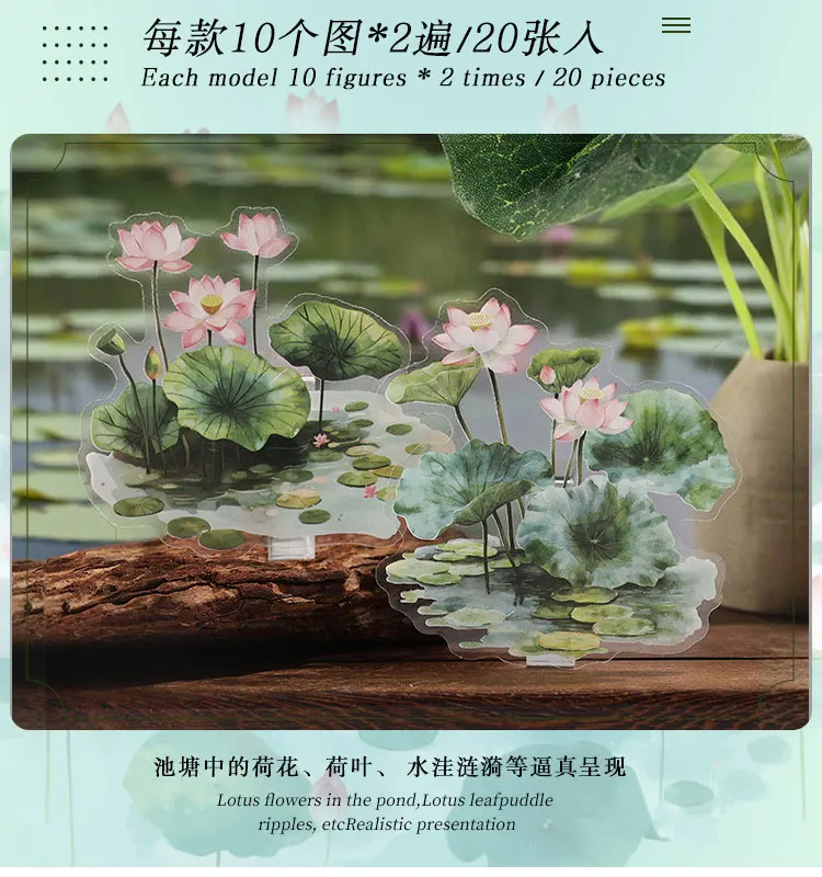 20 Stück Ein kleiner Teich Pflanze Blume Landschaft Aufkleber PET Transparent Dekorative Collage Junk Journal DIY Scrapbooking Zubehör – Detail 4