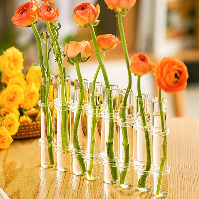 Vase en verre à fleurs articulées, tube à essai, porte-plante créatif,  conteneur hydroponique, salon, bureau, table à manger, décoration florale  pour la maison - AliExpress