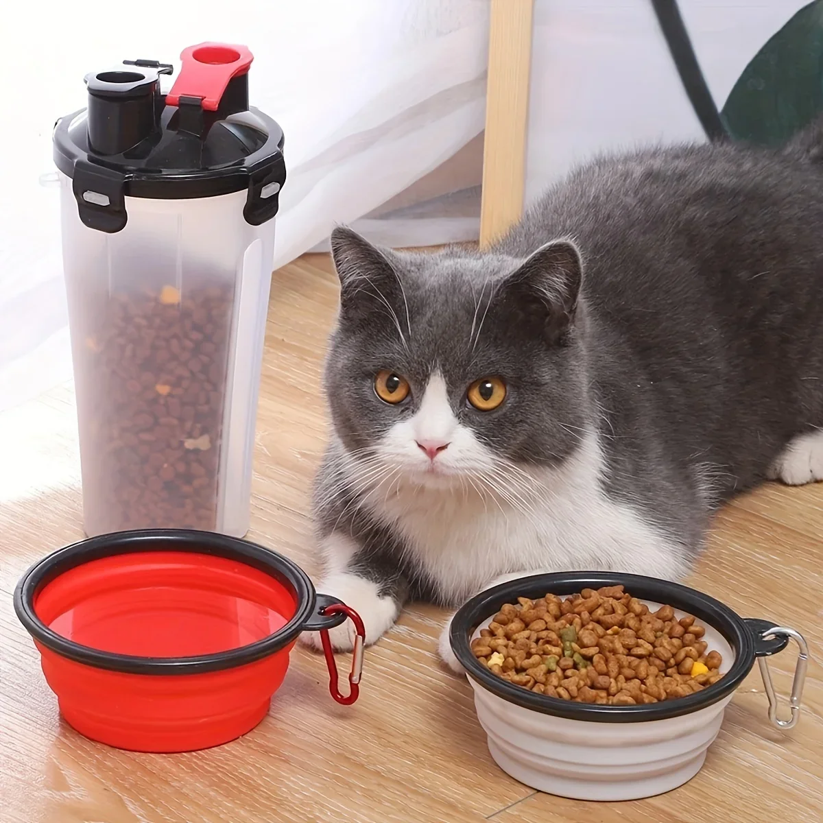 650ML Folding Black Frame Bowl with Keychain Pet Bowl Portable Travel Bowl Convenient Cat Bowl Not Easy to Deform Folding Bowl