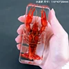 Kindergarten teaching Marine animals Real fish Resin specimen Fish tortoise Crab Amber ornaments home accessories  decor 5