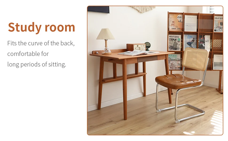 morden leather rattan side accent chairs dining chair set of 2 with chrome legs 