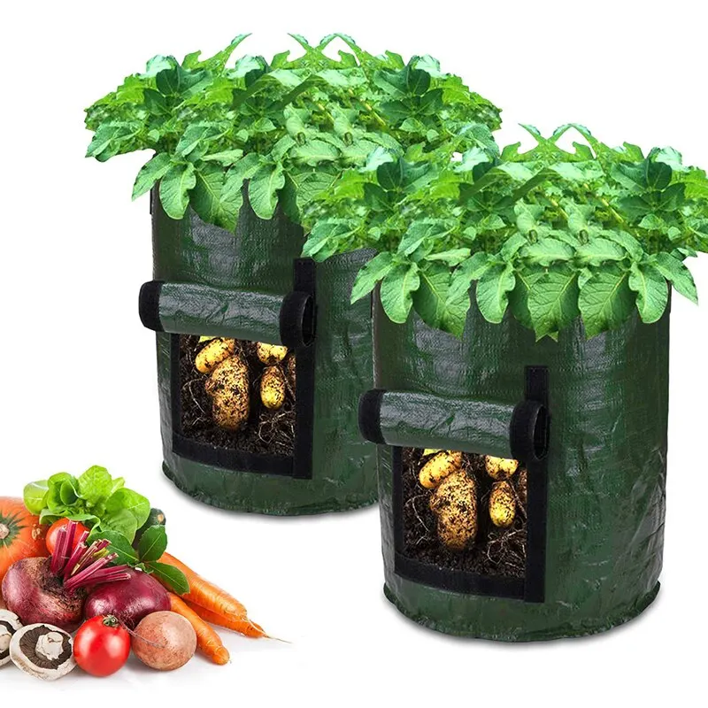Potato Grow Bags