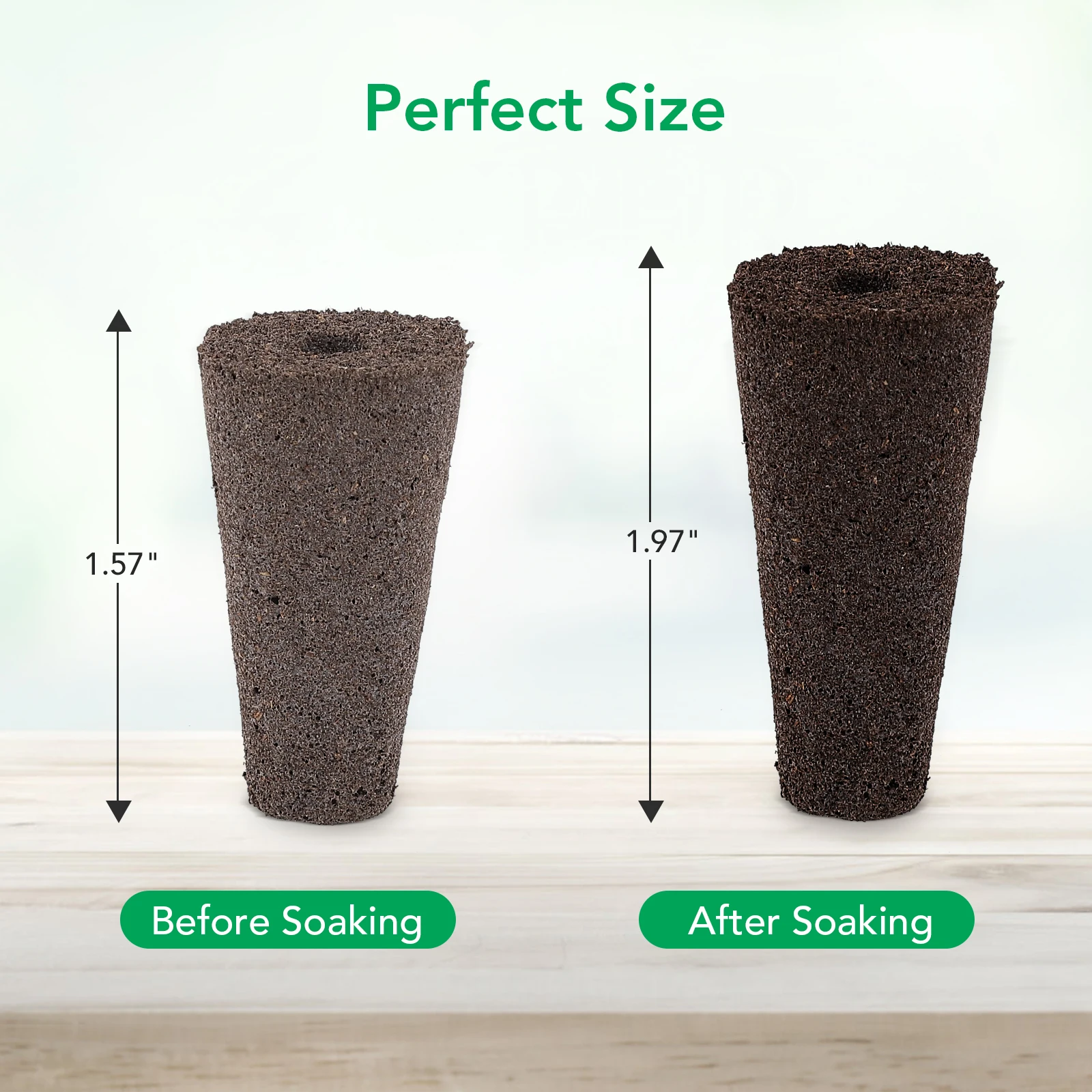 Hydroponic Seed Germination Kit - 60pcs Growth Sponges 4