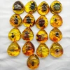 1PC DIY Hand Crafts Gift Insects Amber Gemstone Scorpion Natural And Mineral Stones Home Decoration 4