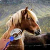 2 Pcs Horse Hair Brush Bridegroom Cow Tails Stainless Steel Saddle Covers for Western 6