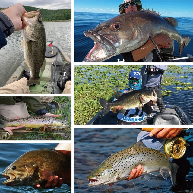 Elite TG 10PCS Tungsten Flipping Weights 1.8g-63g Bullet Bass  Texas/Carolina Rig Trout Panfish Perch Lure Fishing Accessories - AliExpress