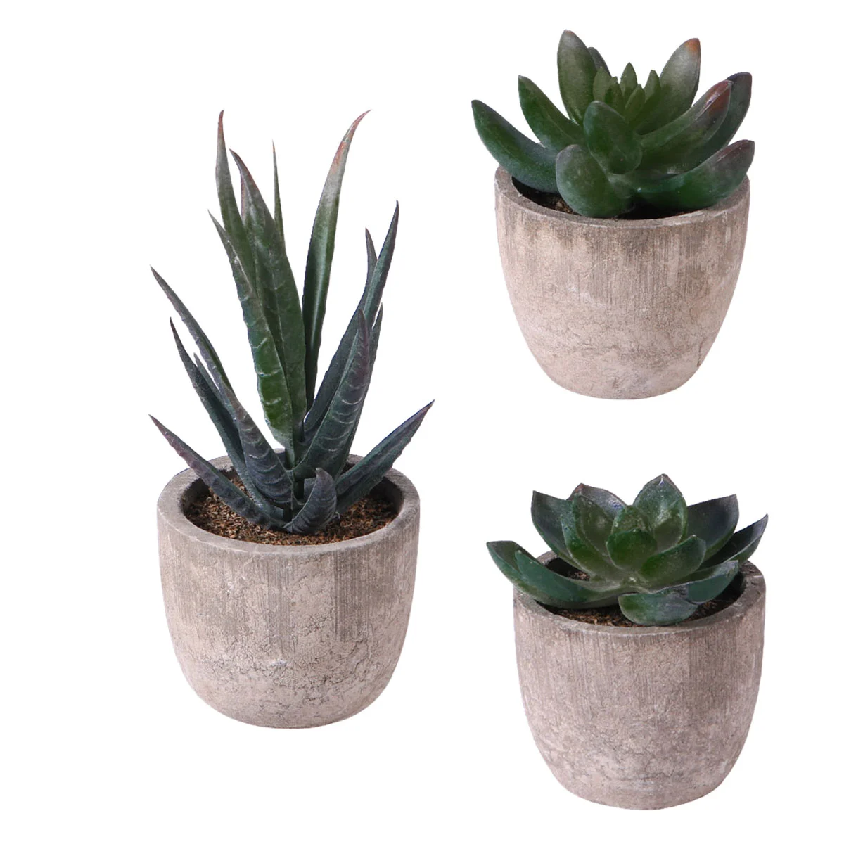 

Plants Plant Decorative Succulent Potted Plastic Artificial