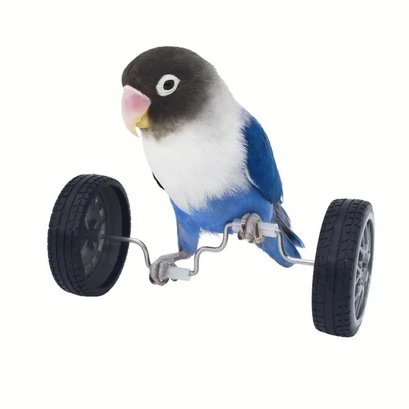 Bird Toys Parrot Balance Car Toy Pet Bird Interactive Skill Training Toys Exercise Fun Play Parrots Parakeets