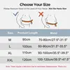 Lower Back Brace Women Men Lumbar Support Belt with 4 Support Stays Back Pain Relief for Sciatica Scoliosis Herniated Disc 5