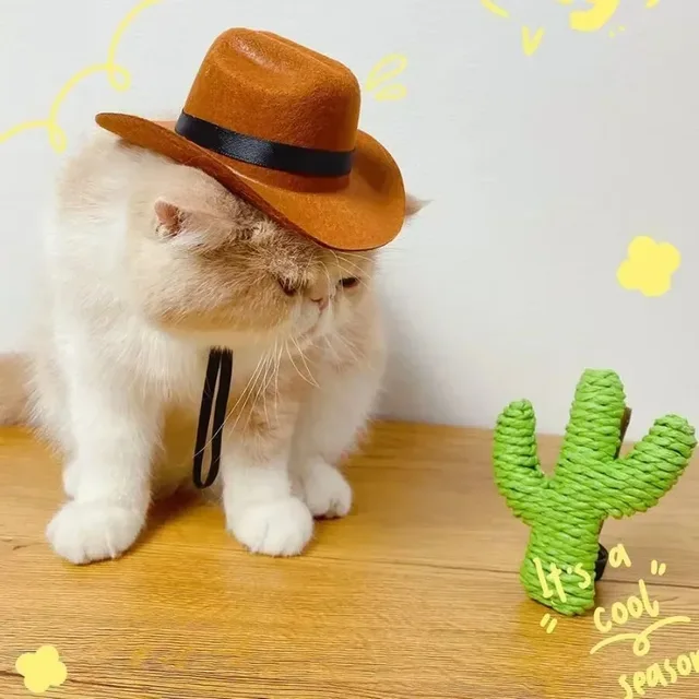 Pet Hat Dog Cat Western Cowboy Hat Halloween Pet Outdoor Caps  Funny Retro Photo Prop Dog Accessories Doll Decor Pet Products 4