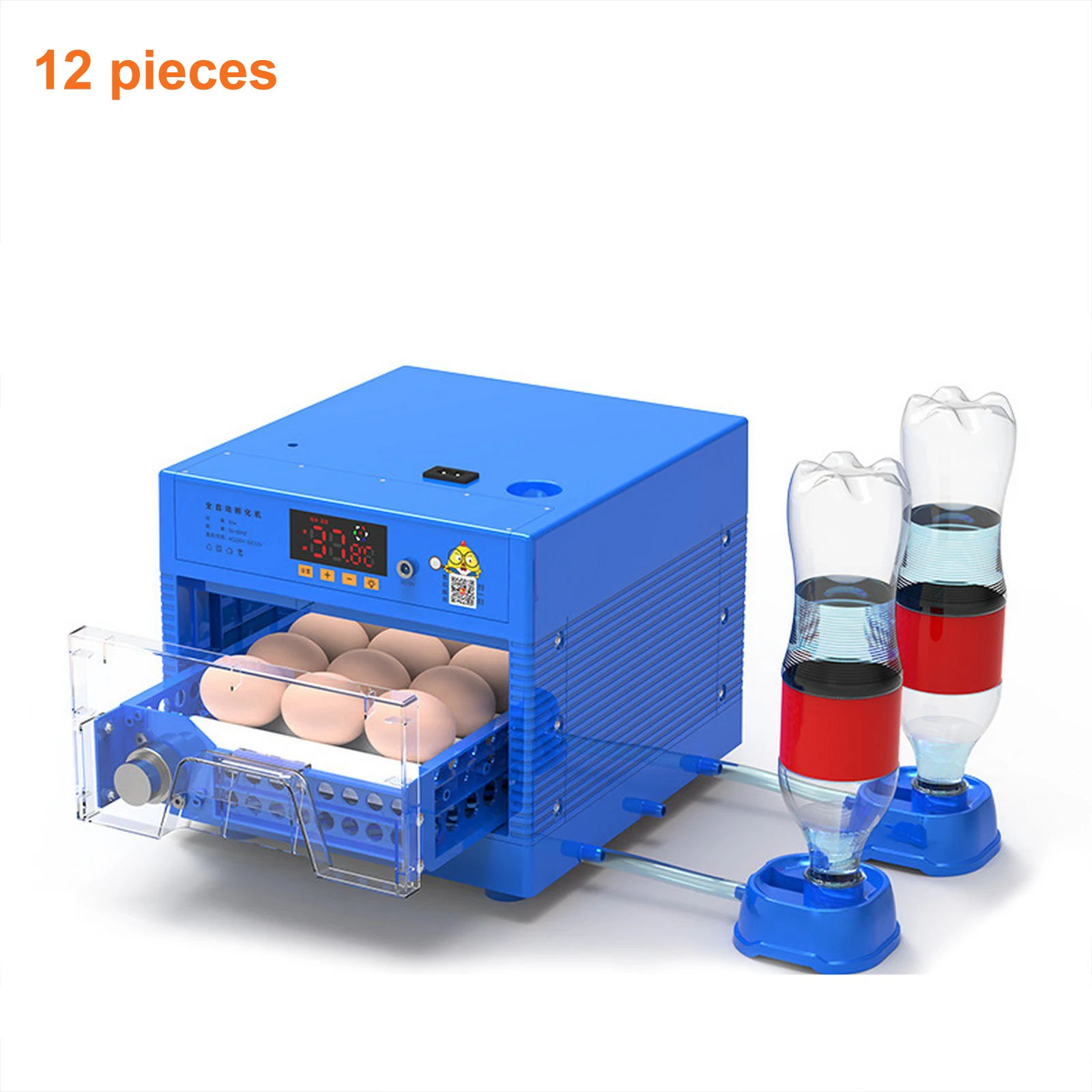 12 eggs