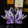Purple Lotus