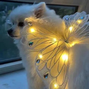 Glowing Butterfly Dog Wings 1