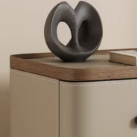 Table De Chevet peu encombrante, élégante, De luxe, Simple, Style nordique, tendance, Premium, meubles De chambre à coucher 5