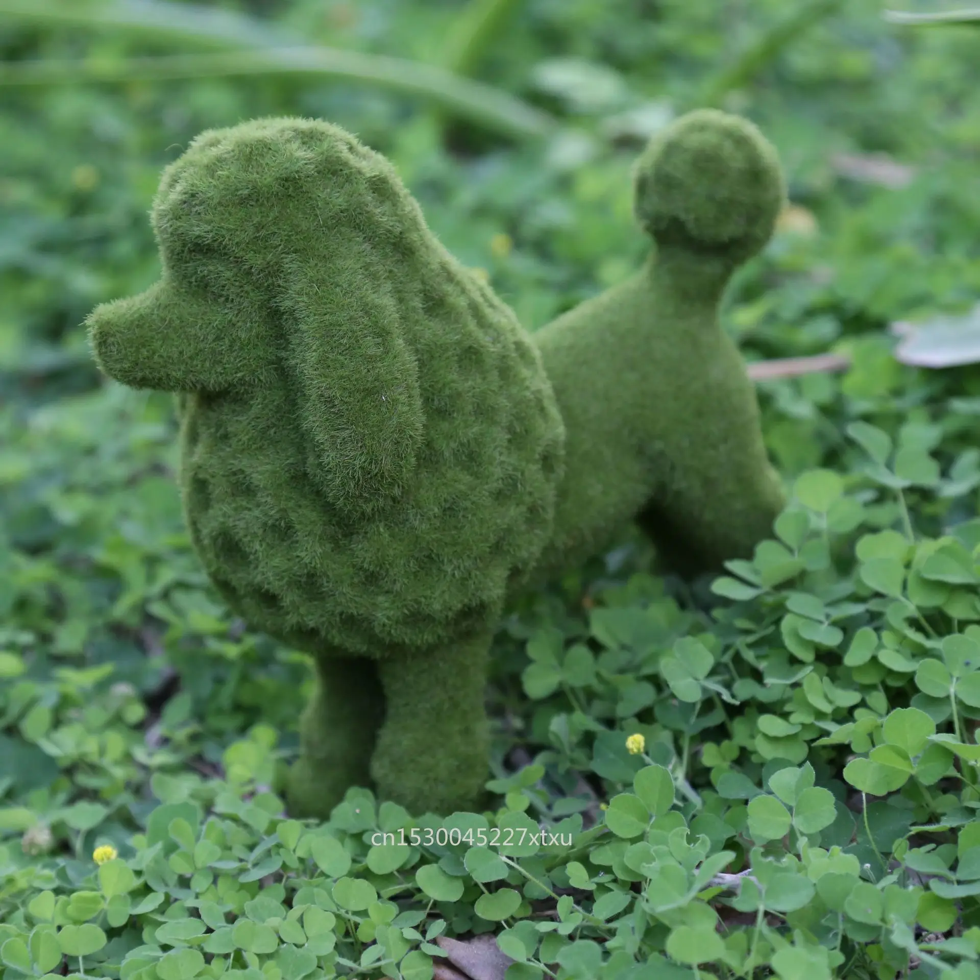 How To Keep Dogs From Peeing On Boxwoods