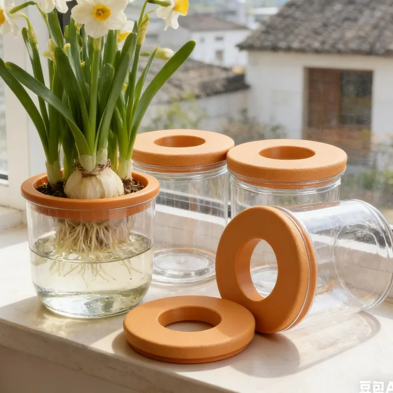 Self-Watering Hydroponic Planter with Transparent Design