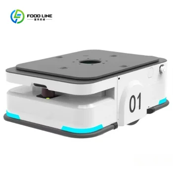 Robot AGV AMR Personalizzato con Telaio, Capacità di Carico 300KG, Robot per Consegne a Batteria, Macchina Autonoma Senza Equipaggio, Mini Robot con Motore Comune, 8h di Autonomia
