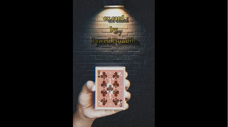 

2022 Ex Card от jabeen gouhl-волшебный трюк